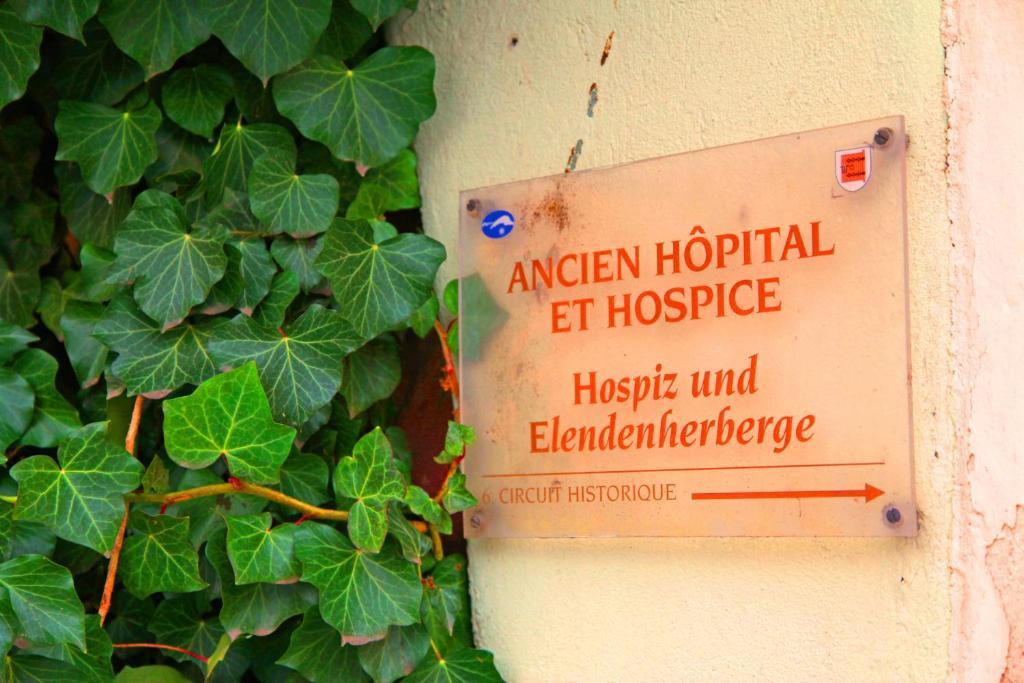 Apartament La Grenouille Turckheim Zewnętrze zdjęcie